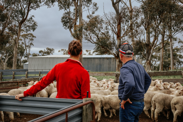 World’s premier sheep industry event to be held in Adelaide