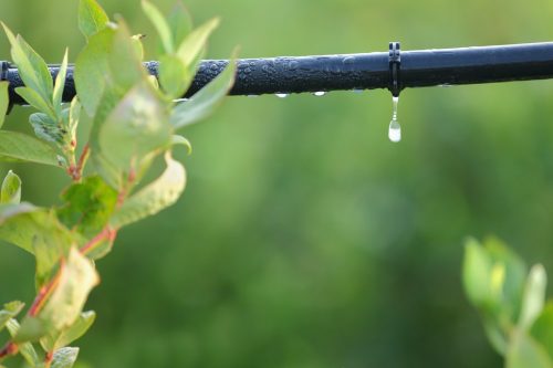 Drips — Agricultural Solutions in Bundaberg, QLD