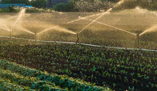 Irrigations — Agricultural Solutions in Bundaberg, QLD Irrigations — Agricultural Solutions in Bundaberg, QLD